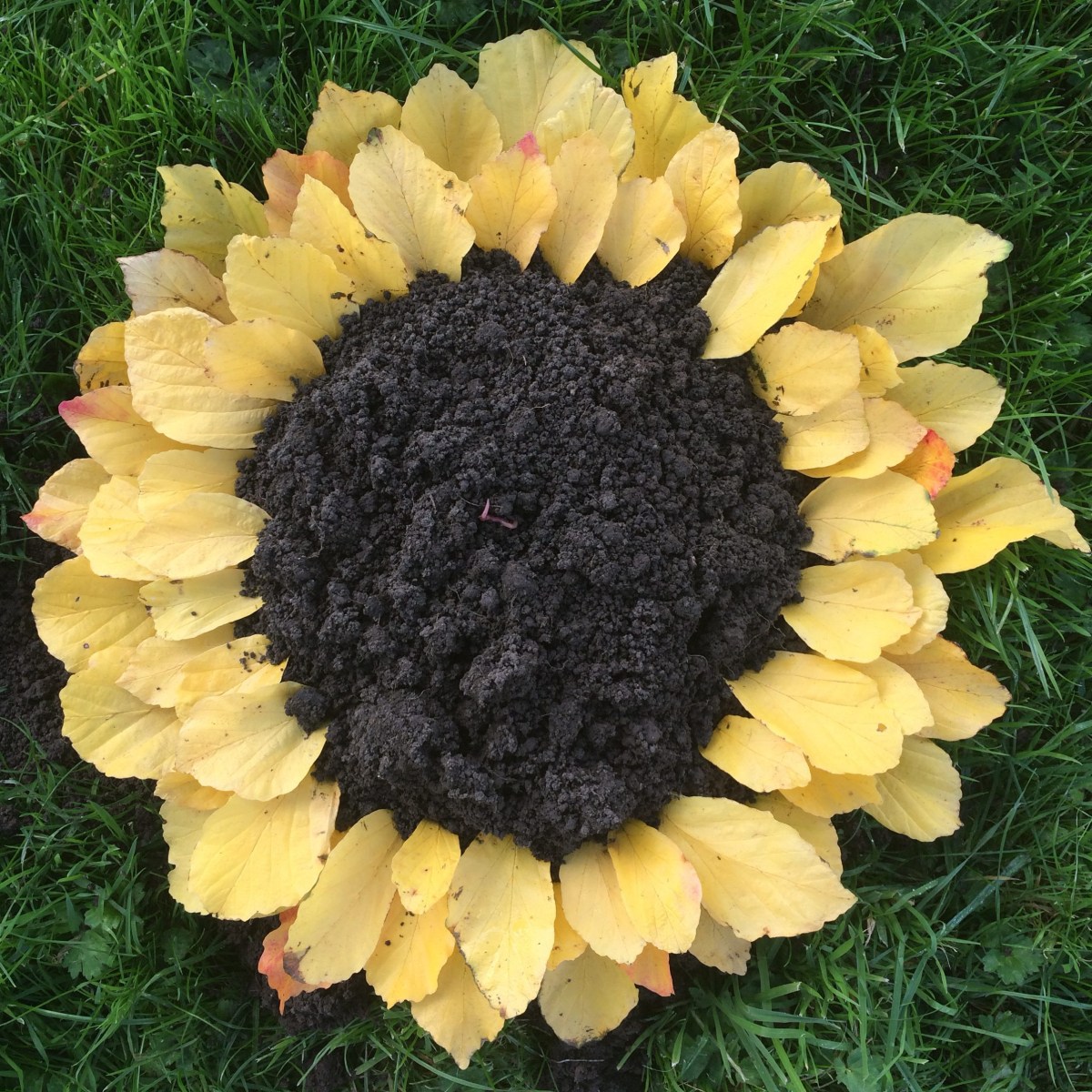 cropped-cropped-img_8879