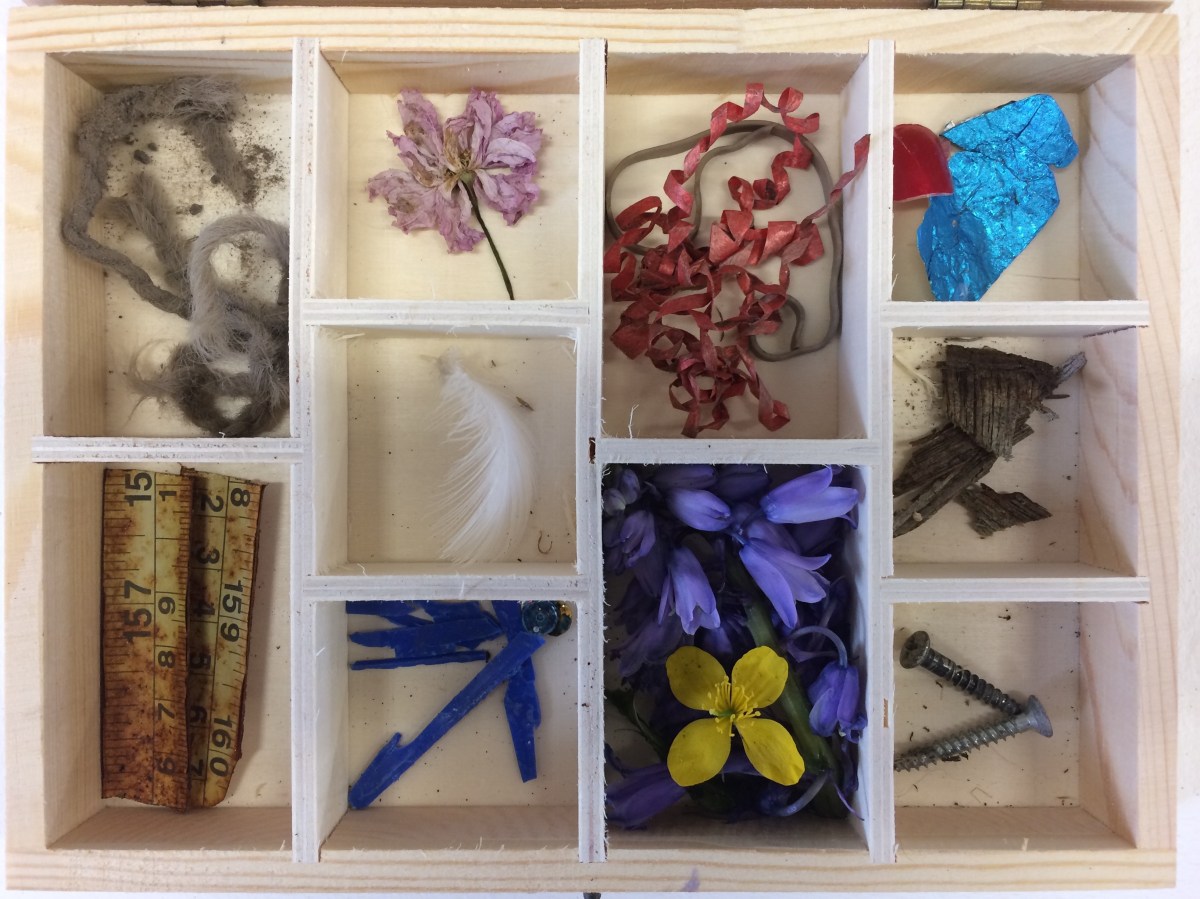 Around Bridport with Claudia